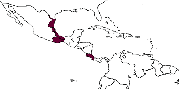 map of Distictus mexicanus     Kasparyan & Ruiz, 2005